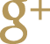 Google Plus Account